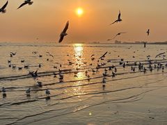 -老虎石海上公园