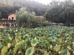 -韶山毛泽东同志故居