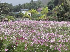 -三亚南山文化旅游区