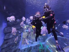-石家庄极地海洋世界