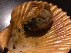 -土蚝·高压锅生蚝(百姓美食街店)