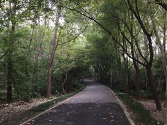 -春兰国宾馆(凤城河风景区老街店)