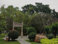 -晓港公园