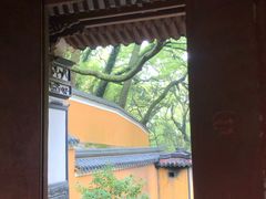 -普陀山风景名胜区-法雨禅寺