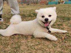 -趣玩宠物乐园寄养训犬训狗游泳池