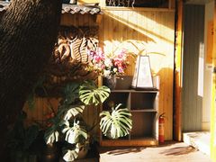 -谷咖啡·鲜花绿植花园餐厅