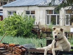 -北极村旅游风景区