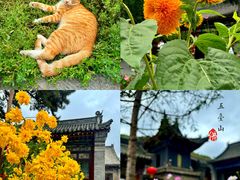 -五台山风景区