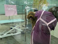 -暖阳宠物医院·犬猫康复中心·骨科