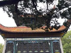 -南岳衡山风景名胜区-南岳大庙