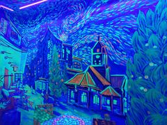 -天津梵高星空艺术馆(天河城旗舰店)