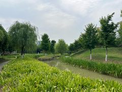 -皇粮浜湿地公园