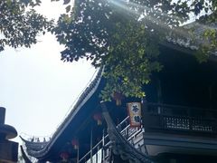 -赭山公园