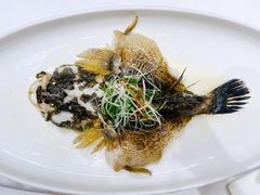 -茗鼎汇(星方汇广场店)