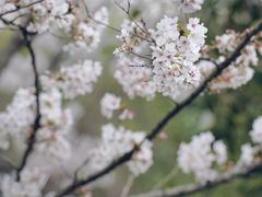 -径山寺
