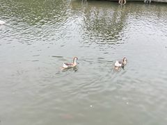 -无锡动物园·太湖欢乐园
