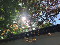 -南通濠河风景名胜区