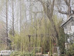 -济南大明湖景区