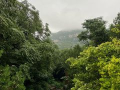 -佛慧山