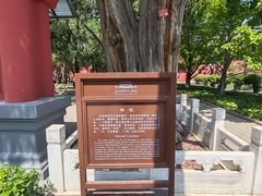 -北京市劳动人民文化宫(太庙)