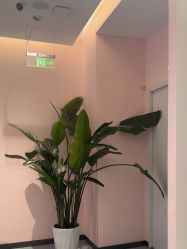 -郑州缔莱美医疗美容医院