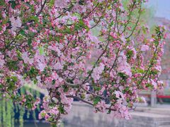 -元大都城垣遗址公园