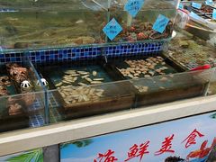 -天盛海鲜烧烤大排档·本地小海鲜·牟平腿穗子(幸福店)