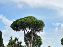 -米开朗琪罗广场