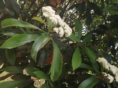 -红跑车(仙鹤街店)