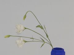 -intime coffee(芝麻街店)