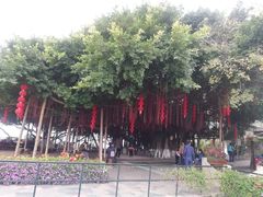 -胡里山炮台