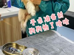 -心语宠物医院·急重症转诊中心·瑞辰华诺(南青路店)