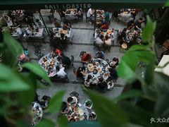 -巴厘龙虾·榜首油焖大虾(洞庭·艺术洋房店)