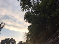 -秋霞圃