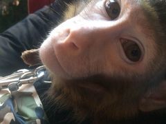 -盤古Spa泰式古法抓龙筋(鲁迅路店)