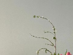 -帝京日语(春熙路旗舰校区)