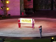 -灵玲国际马戏城