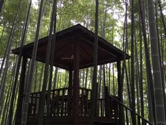 -宝岩生态观光园