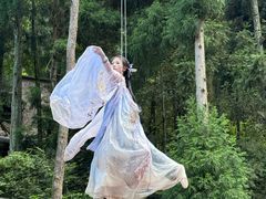 -刘伯温故里景区百丈漈