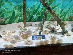 -暹罗海洋世界