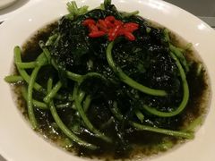 -顺德美的万豪酒店-万豪中餐厅