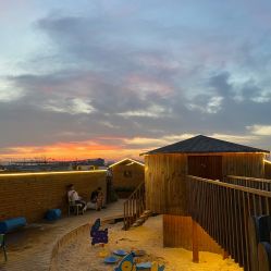 -小蜜蜂农场(凯德七宝购物广场店)