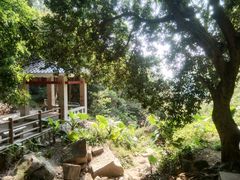 -火炉山森林公园