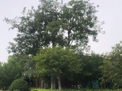 -采石矶景区