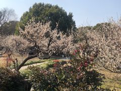 -白马涧龙池景区