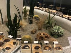 -OUR Bakery(SKP-S店)