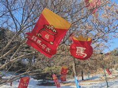 -沈阳植物园