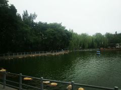 -莲湖公园