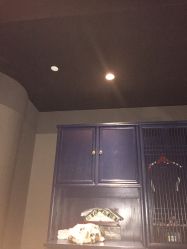 -奈瑞儿美养院·身体调养·美颜