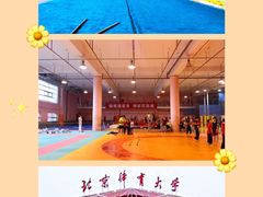 -武术世家少儿培训中心(首都体育学院店)
